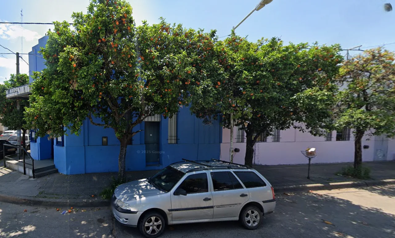 Naranjos amargos