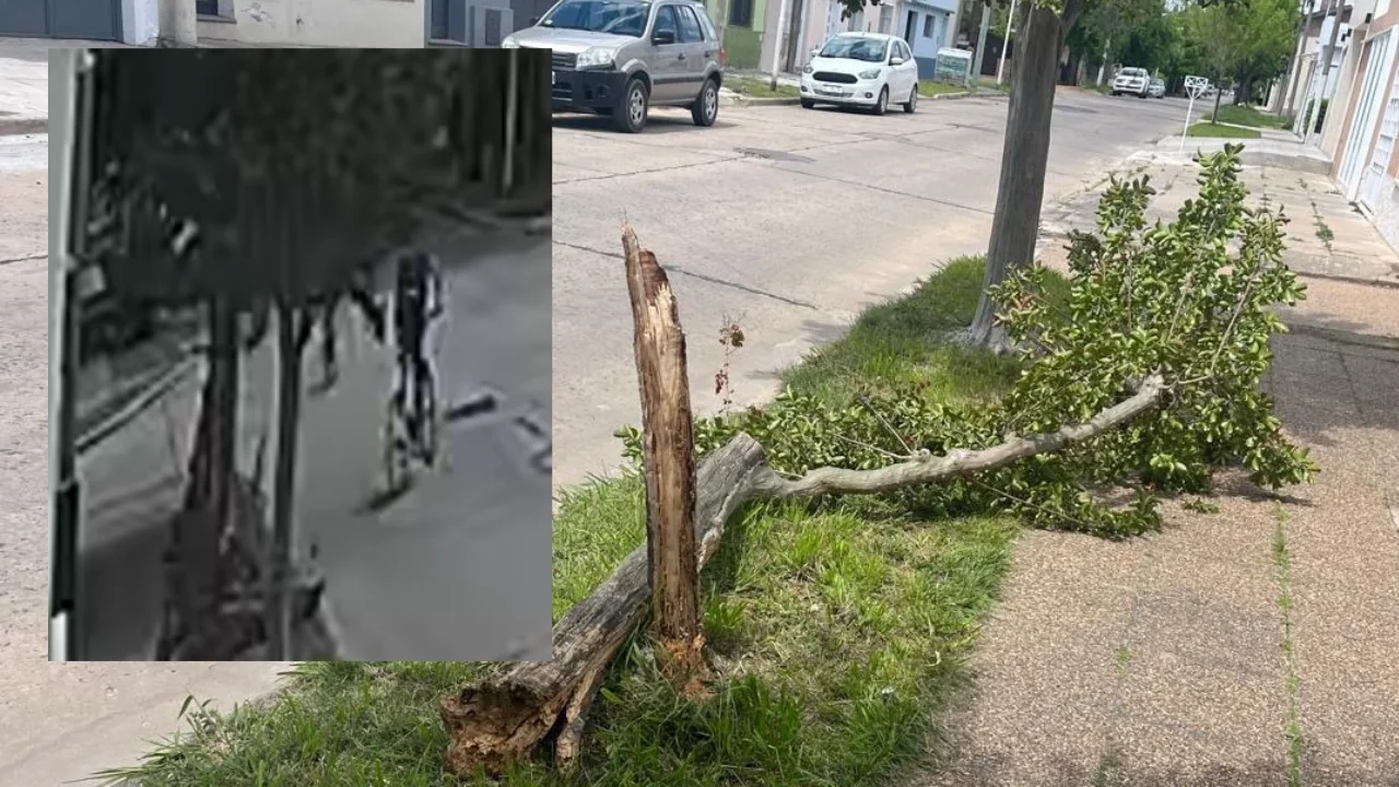 Robo bicicleta APA