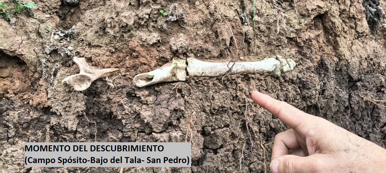 MOMENTO DEL DESCUBRIMIENTO