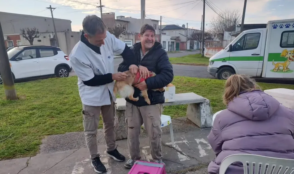 VAcunación y desparasitación mascotas otro