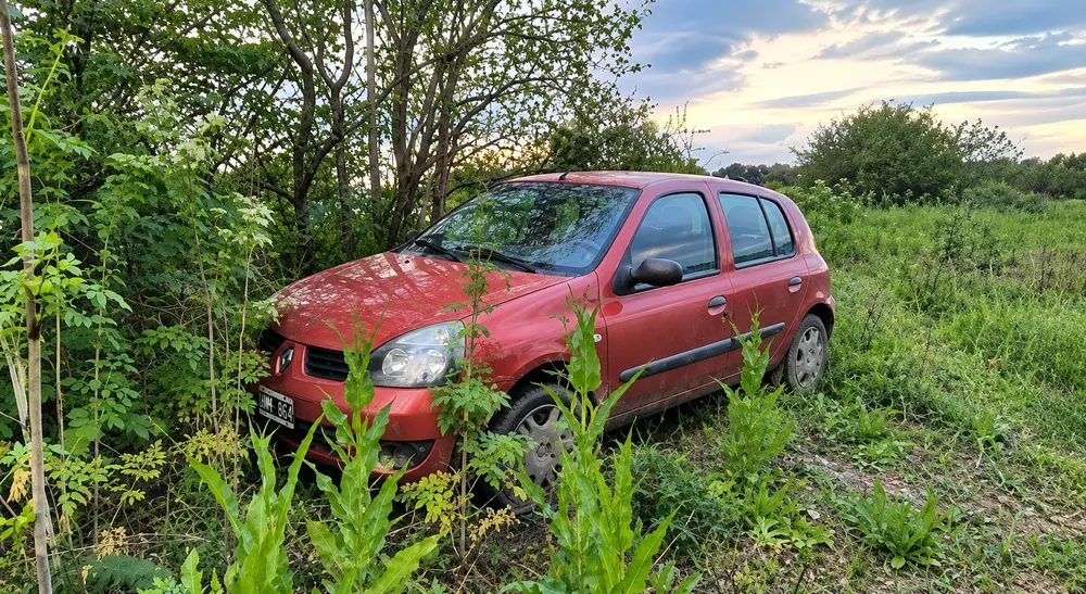 Renault rojo atrapado entre la maleza