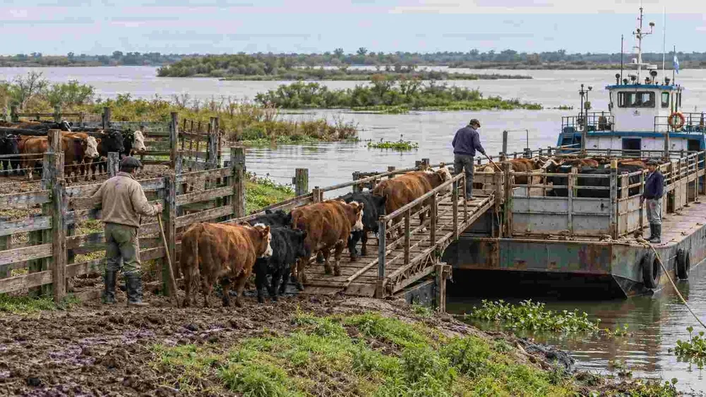 Barcaza isla