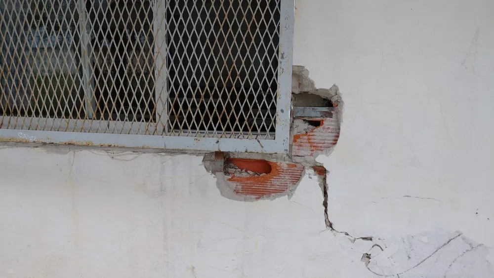Reja forzada Escuela 4