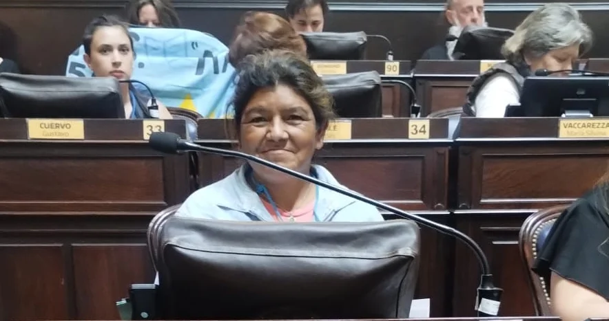 Luján Cáceres en parlamento